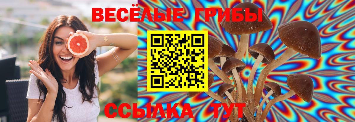 Псилоцибиновые грибы Psilocybine cubensis  Вход с VPN  Дзержинский 